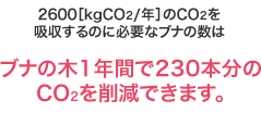 2600[kgCO2/年]のCO2を吸収するのに必要なブナの数は ブナの木1年間で230本分のCo2を削減できます。