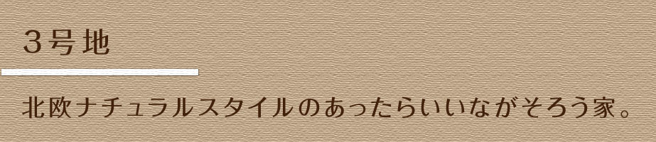 3号地　北欧ナチュラルスタイルのあったらいいながそろう家