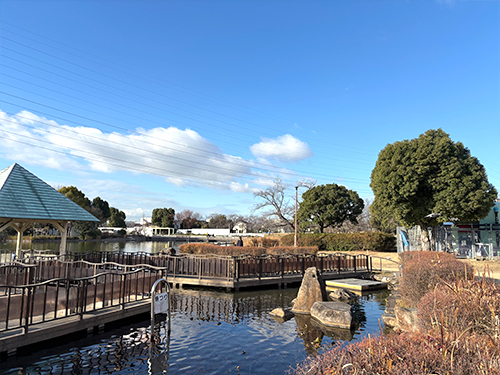 弁天池公園南