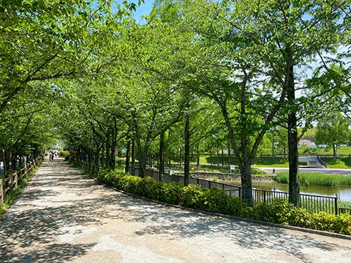 打上川治水緑地
